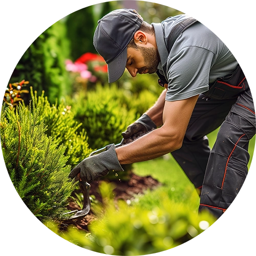 bricolage_giardinaggio_ferramenta_ferro_famigl